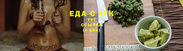 спиды Тайга