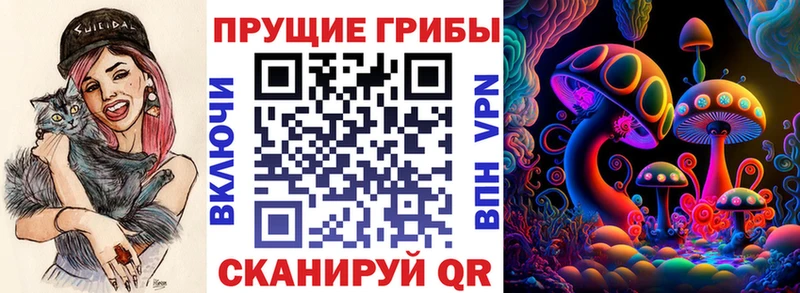 где продают   Высоковск  Галлюциногенные грибы Magic Shrooms 